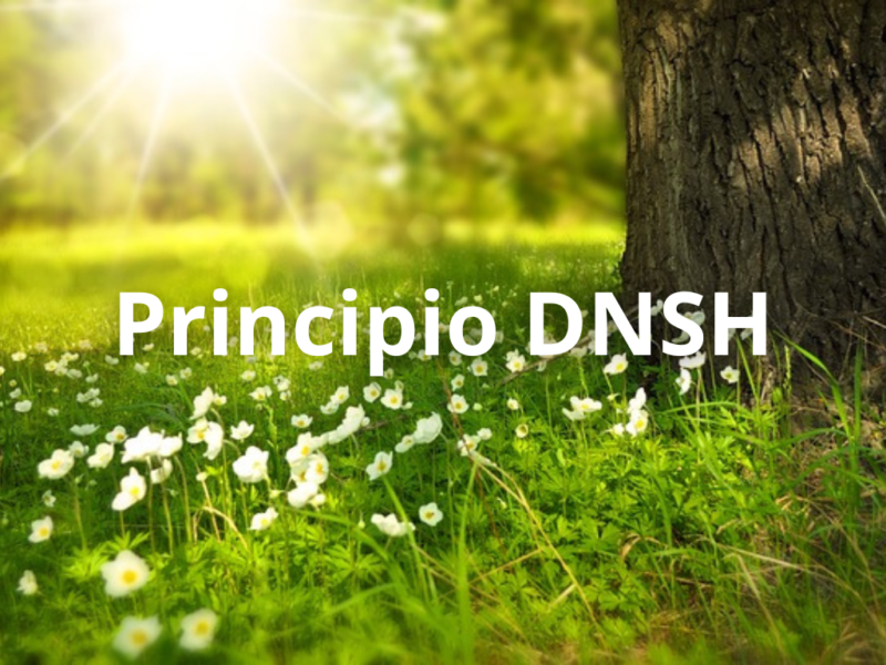 Autoevaluación Del Principio DNSH | Proinca Consultores