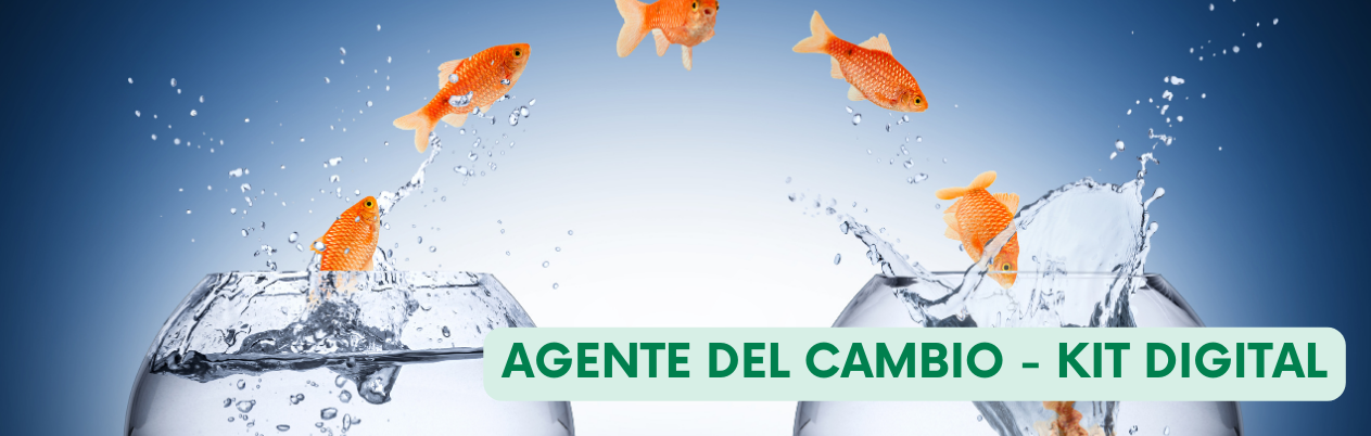 Agente del Cambio - Kit Consulting